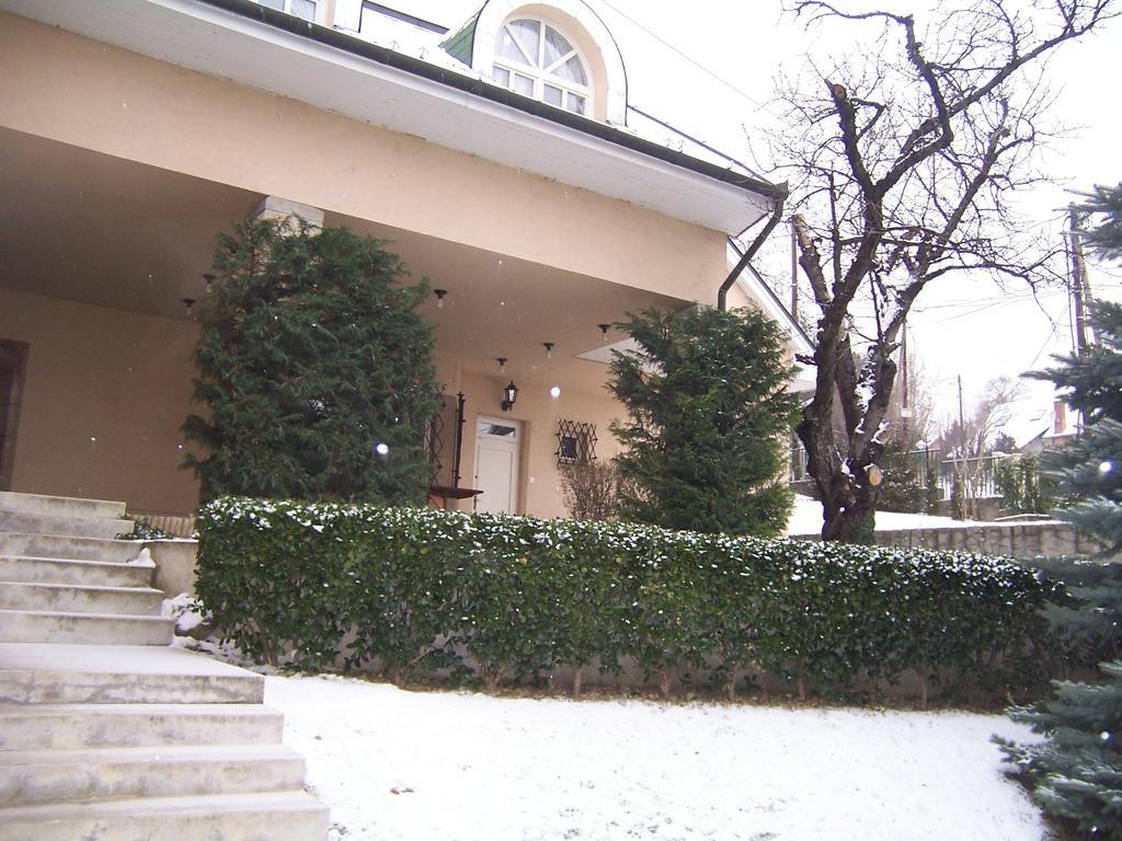 Villa Szekely Leányfalu Exterior foto